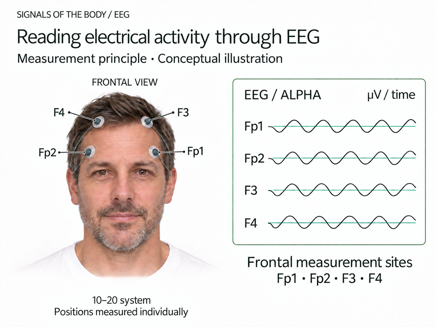 Conceptual illustration of frontal EEG measurement sites and brainwaves