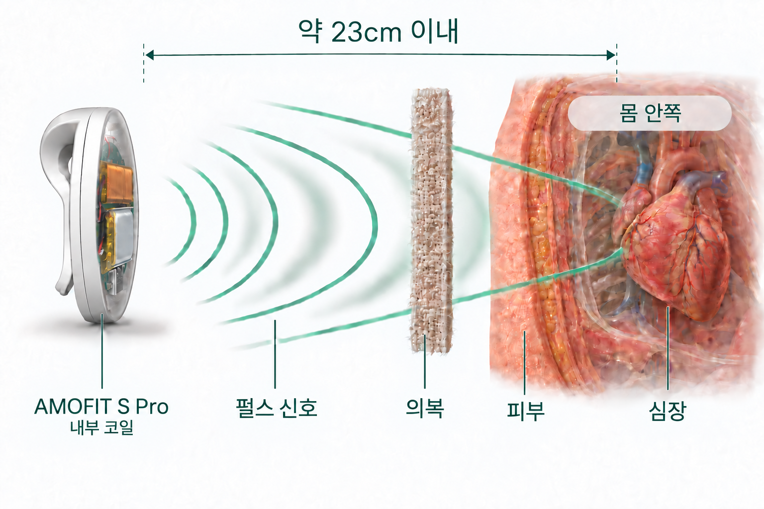 코일의 펄스 자기장 신호가 옷과 피부를 통과해 심장 부위로 전달되는 모습과 약 23cm의 착용 범위