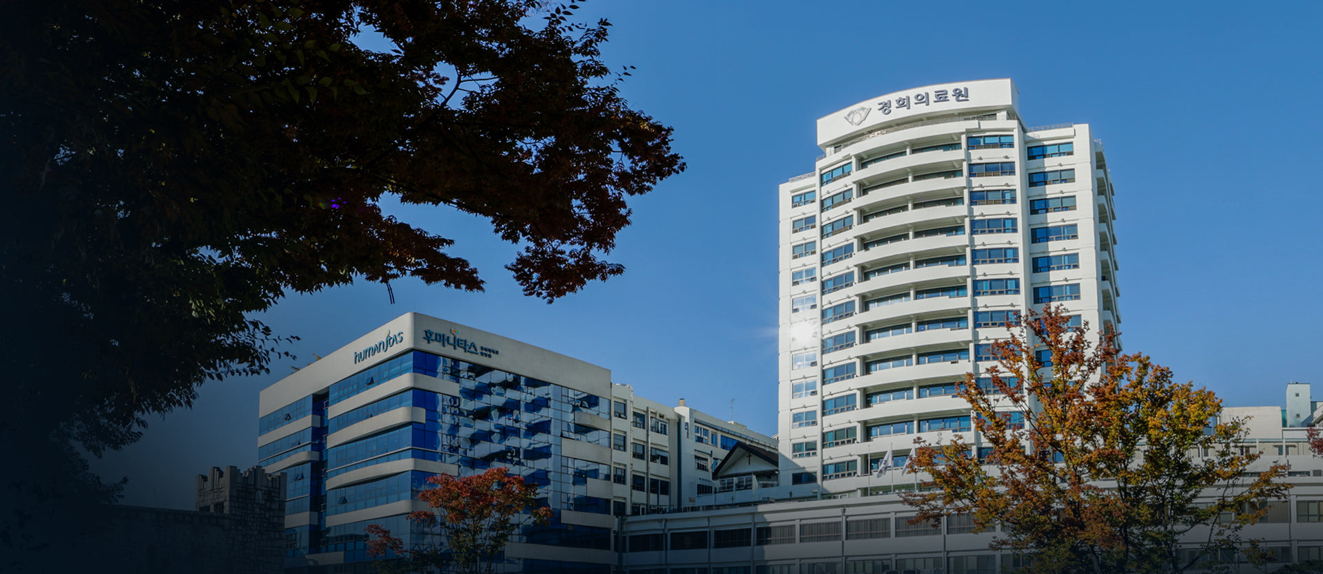 Kyung Hee University Medical Center